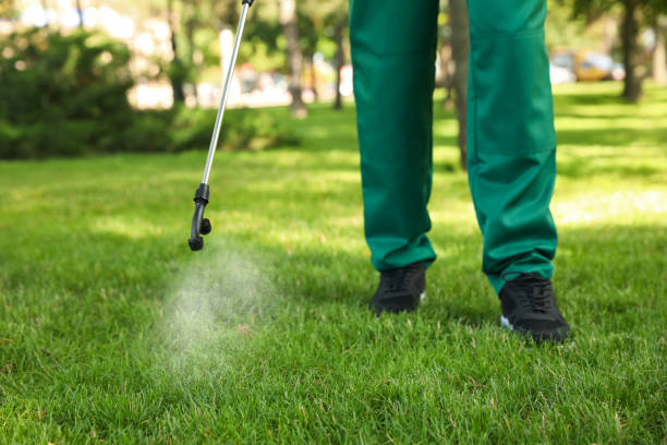 Best Insect Control  in Higginsville, MO