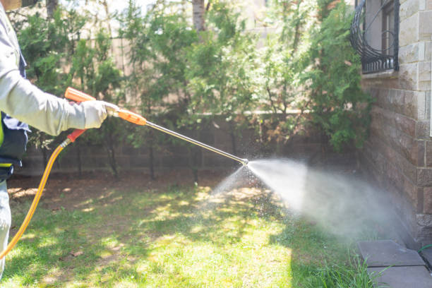 Insect Control in Higginsville, MO