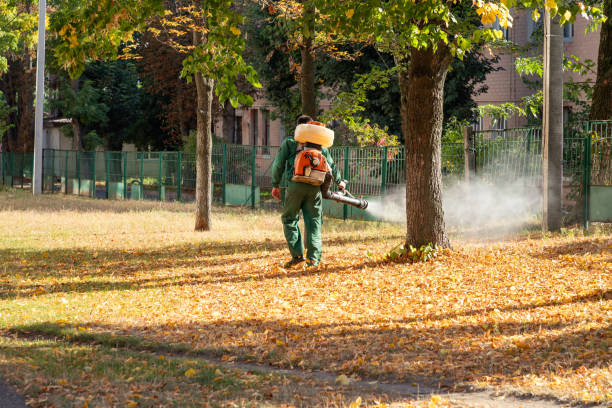 Professional Pest Control in Higginsville, MO