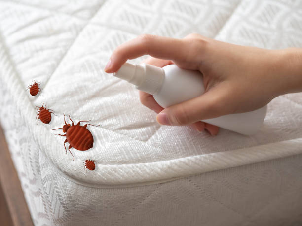 Pest Control Cost in Higginsville, MO
